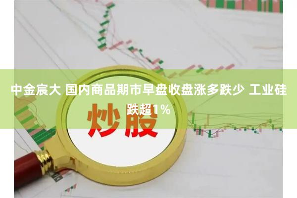 中金宸大 国内商品期市早盘收盘涨多跌少 工业硅跌超1%