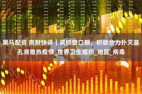 黑马配资 南财快评｜紧抓窗口期，积极合力扑灭基孔肯雅热疫情_世界卫生组织_地区_病毒